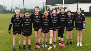 PICTURES: Mayo GAA club opens new astro turf pitch