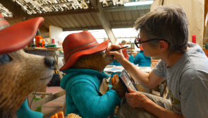 Paddington Bear has landed in Mayo