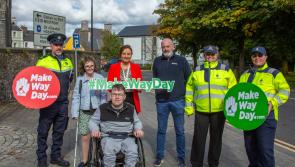 Mayo County Council calls for awareness on Make Way Day