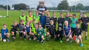 Mayo rugby club launches new mini-section programme as 'the Bears'