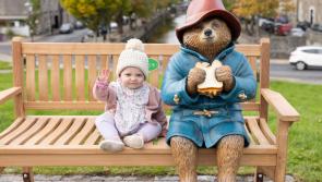 Paddington Bear statue unveiled in Westport 