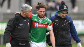 Top referee hits back at Heffernan's player protection comments