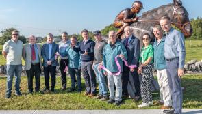 ‘Spirit of Ballinrobe’ wooden horse sculpture officially launched