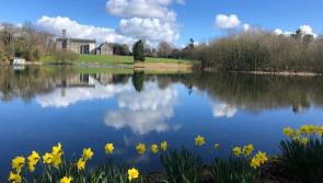 Rockwell Hotel and Catering school reunion to be held in Mayo