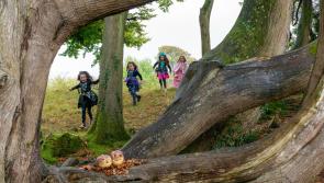 National Museum of Ireland in Turlough unveils Halloween programme