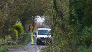 Storm Ashley topples trees and causes power outages in Mayo