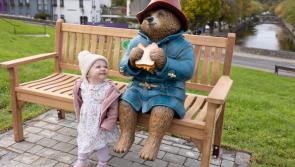 Local politician calls Paddington Bear ‘a fantastic addition to Westport’