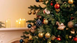 Mayo women's group plan annual festive event