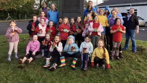 Two Mayo community groups work on heritage projects 