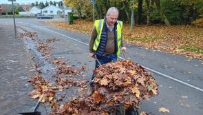 Falling leaves leaving Castlebar footpaths in 'lethal' condition