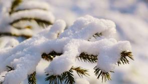 BREAKING: Met Eireann warns of 'significant snowfall accumulations' in FIVE counties