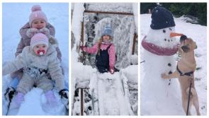 Snow photos: Mayo News users enjoy life in Winter Wonderland