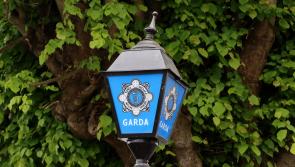 Garda continue to appeal for witnesses of fatal crash as suspect released without charge  