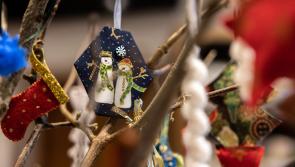 Turlough Park museum to host three festive Christmas afternoons in December