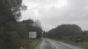 Councillor calls for widening of ‘most dangerous section of road in the country’
