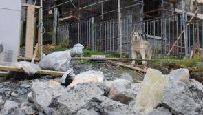 Mayo records 10 percent increase in house rebuilding costs 