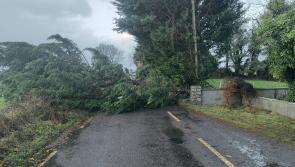 Thousands without power in Mayo and roads blocked following Storm Darragh