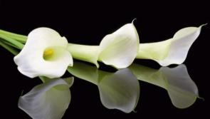 Tributes paid to Mayo woman who died following collision in Castlebar
