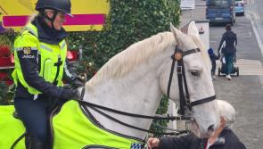 Gardaí seize drugs in Mayo raid