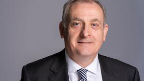 GUEST COLUMN:  Seven steps to securing Irish SMEs’ future 