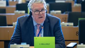Mayo village a case study in rural decline – MEP