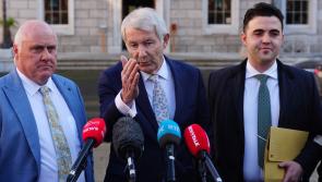Michael Lowry: Who is the 'Kingmaker' of the next government?