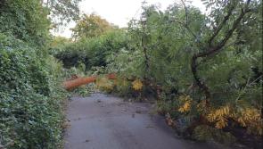 Mayo households affected by Storm Éowyn can apply for aid 