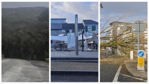 STORM ÉOWYN: Collapsed roofs, fallen trees and blocked roads in Mayo
