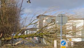 Mayo public 'left in the dark' with lack of information following Storm Eowyn