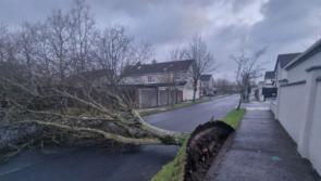 Hundreds remain without power as Mayo communities still reeling from Storm Éowyn