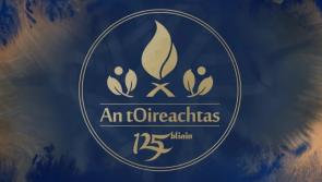 Former Fianna Fáil Minister becomes President of Irish language organisation