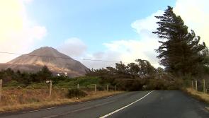 Devastating Mayo story to feature on new RTÉ documentary about impact of Storm Éowyn