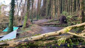 OPINION:  Storms, sympathy and collective amnesia