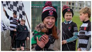 PICTURES: Mayo rugby fans support club in cup semi-final