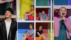 PICTURES: Bye Bye Birdie from Mayo school's musical group 