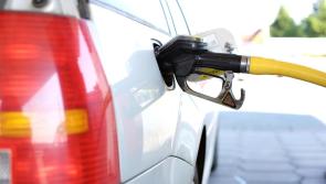 Popular service station to create 1,200 jobs over the next five years 