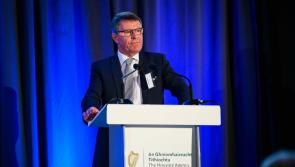Council chief denies Mayo County Council ‘went missing’ during Storm Éowyn