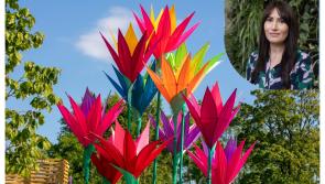 Mayo designer to feature in Bord Bia Bloom gardening festival following major win