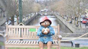 He's back: Mayo's Paddington Bear returns home