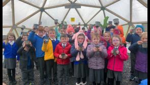 Mayo school chosen to represent Ireland in Little Green Fingers event in Belgium