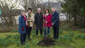 Connemara hotel goes green with native woodland investment