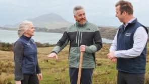 Connemara National Park to expand with purchase of new land in Galway
