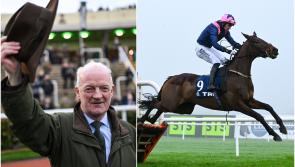 Irish fans rushing to bet on 'dead cert' Willie Mullins Cheltenham accumulator 