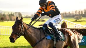 Who won the Aintree Grand National? Punters stunned at 33/1 wins dramatic race