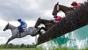 REVEALED: Entries for the biggest race of the year at Mayo racecourse