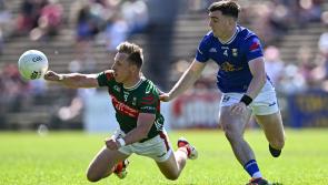 Mayo's championship hopes blown apart by rampant Cavan men in Castlebar
