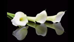 Mayo judge expresses sympathy following 'heartbreaking' death of young barrister