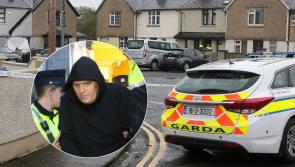 'I hit him with a shovel and I hope the c*** is dead'- Limerick killer told gardai 