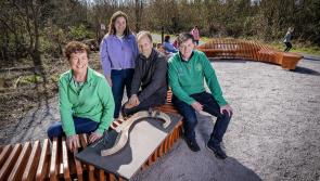 Mayo man&rsquo;s artwork to be officially unveiled in Roscommon