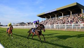 Winner at Mayo racecourse all set for the big stage at Royal Ascot